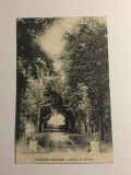 CPA-27-Cocherel-Sur-Eure-Lavenue-du-chateau-1910