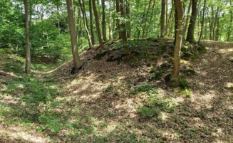 Marche du patrimoine 2024 – Les mystères des bois d’Houlbec